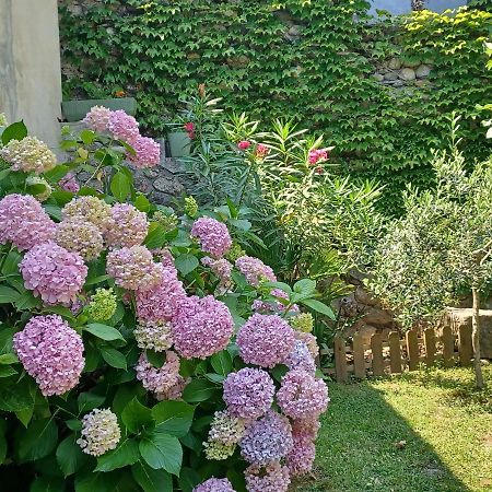 Les Glycines Bed & Breakfast Le Vigan  Ngoại thất bức ảnh